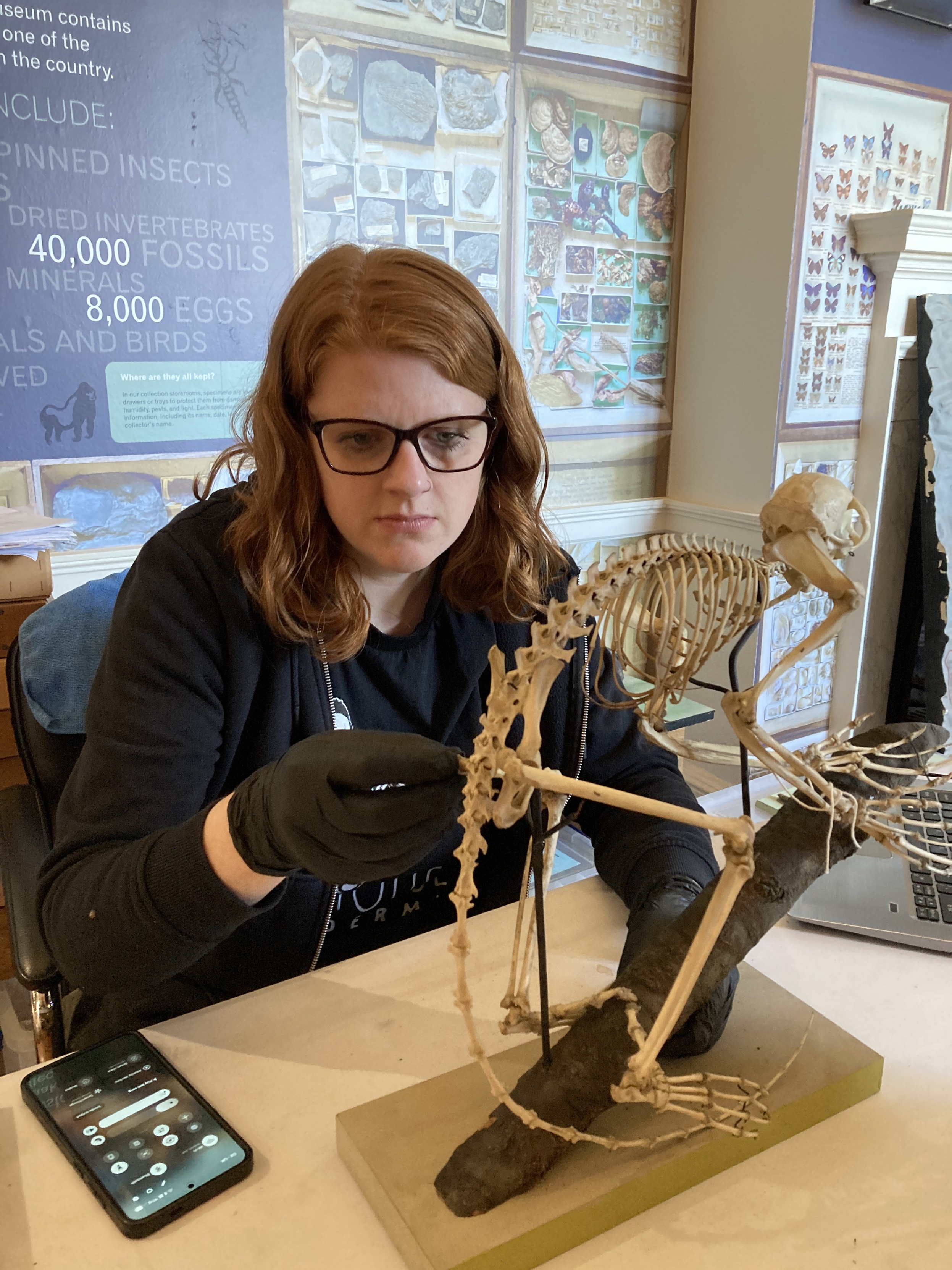 Saarah burhouse working on the skeleton of an aye-aye